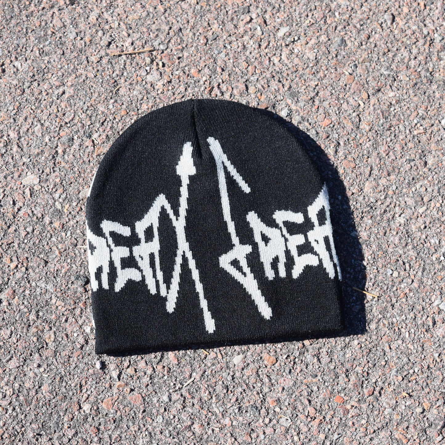 Big Logo Beanie